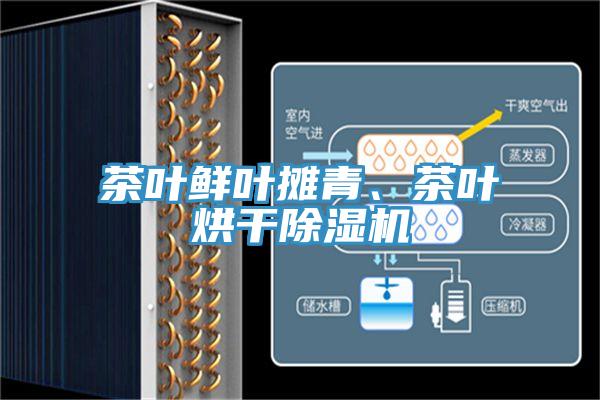 茶叶鲜叶摊青、茶叶烘干MR.好色破解版