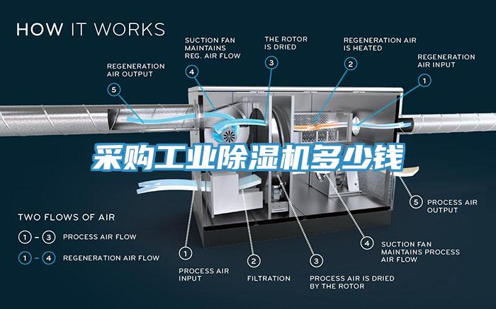 采购工业MR.好色破解版多少钱