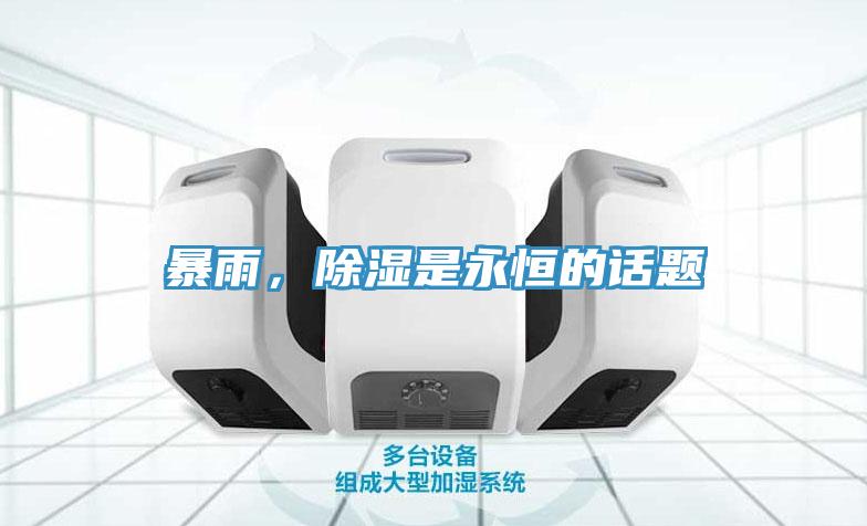 暴雨，除湿是永恒的话题