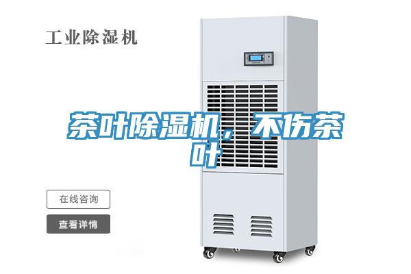 茶叶MR.好色破解版，不伤茶叶