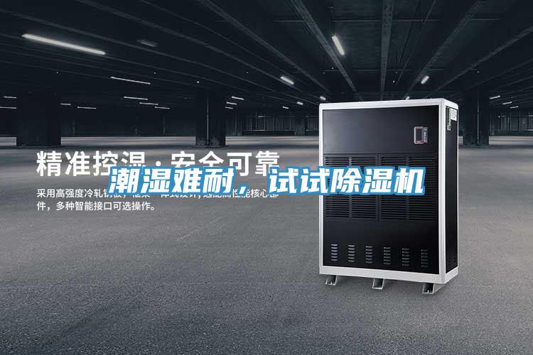 潮湿难耐，试试MR.好色破解版
