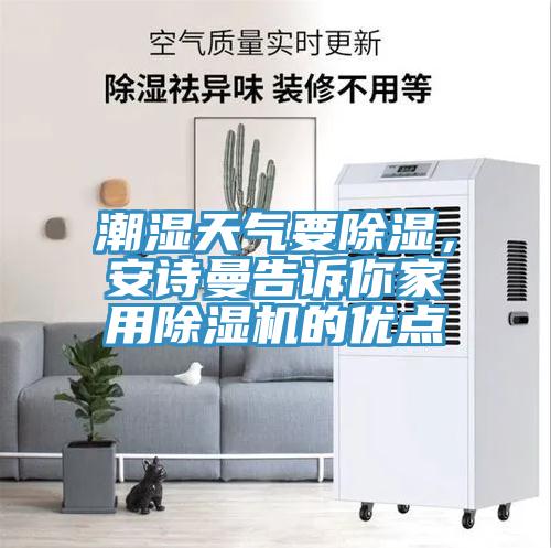 潮湿天气要除湿，好色先生TV下载网站告诉你家用MR.好色破解版的优点