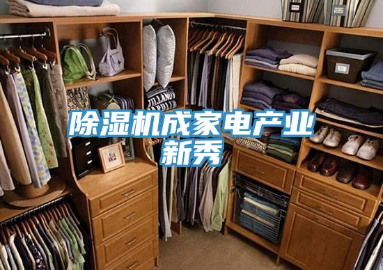 MR.好色破解版成家电产业新秀