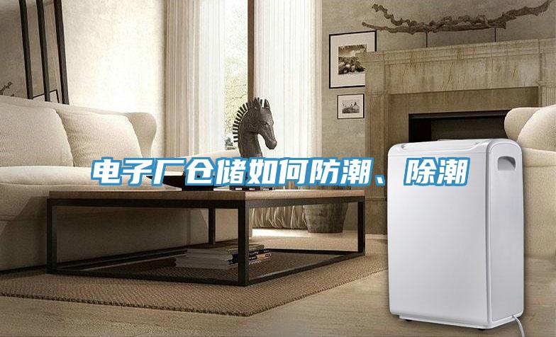 电子厂仓储如何防潮、除潮