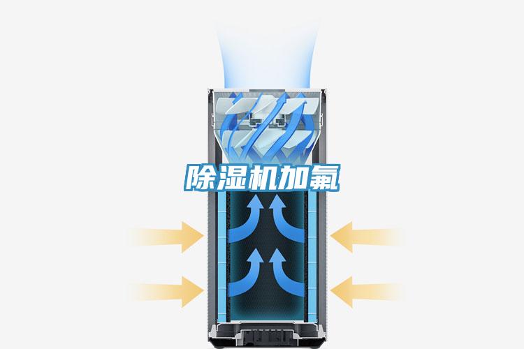 MR.好色破解版加氟