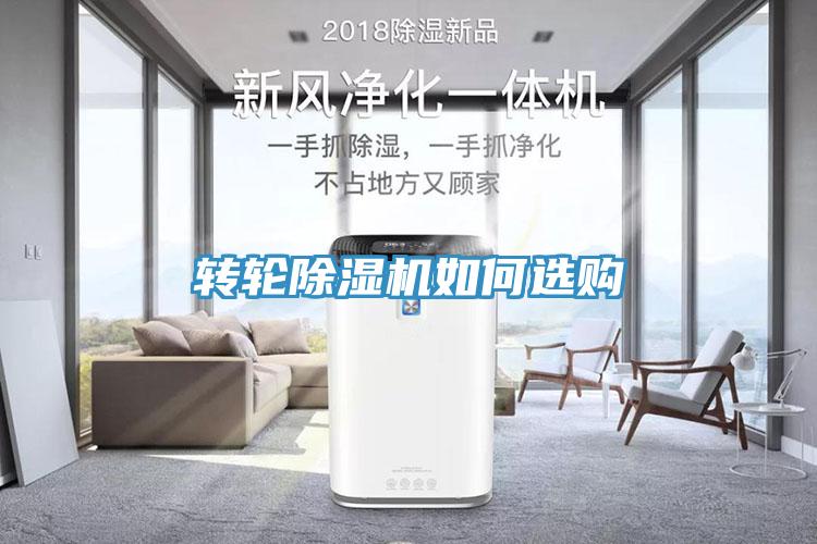 转轮MR.好色破解版如何选购