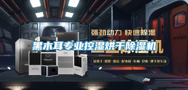 黑木耳专业控湿烘干MR.好色破解版