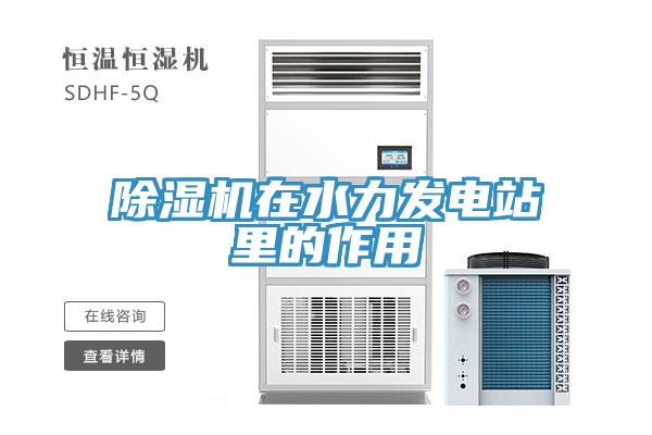 MR.好色破解版在水力发电站里的作用