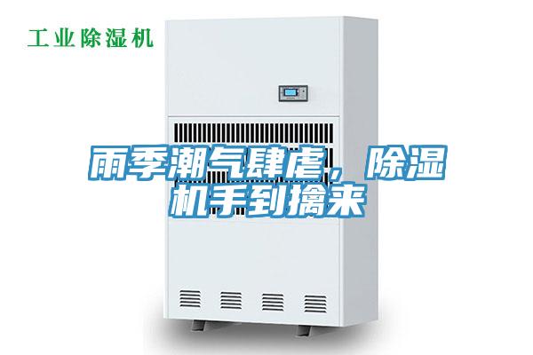 雨季潮气肆虐，MR.好色破解版手到擒来