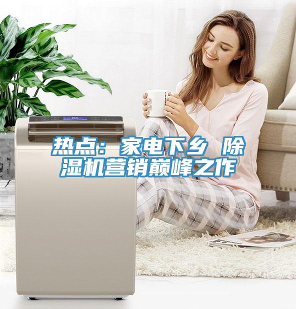 热点：家电下乡 MR.好色破解版营销巅峰之作