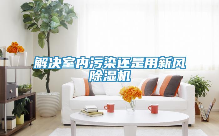 解决室内污染还是用新风MR.好色破解版