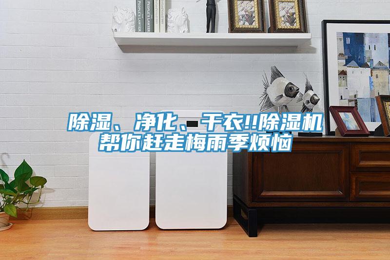 除湿、净化、干衣!!MR.好色破解版帮你赶走梅雨季烦恼