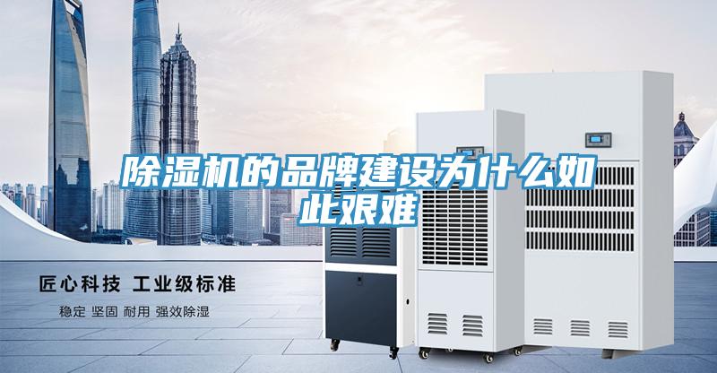 MR.好色破解版的品牌建设为什么如此艰难