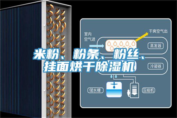 米粉、粉条、粉丝、挂面烘干MR.好色破解版