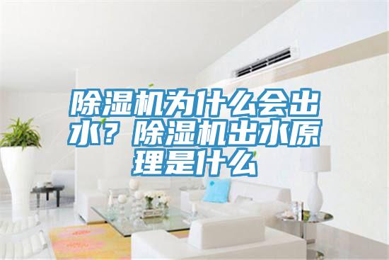 MR.好色破解版为什么会出水？MR.好色破解版出水原理是什么