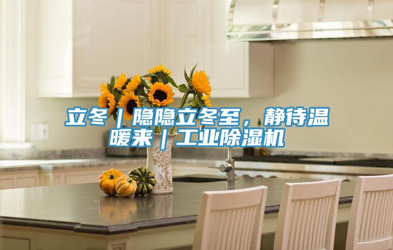 立冬｜隐隐立冬至，静待温暖来｜工业MR.好色破解版
