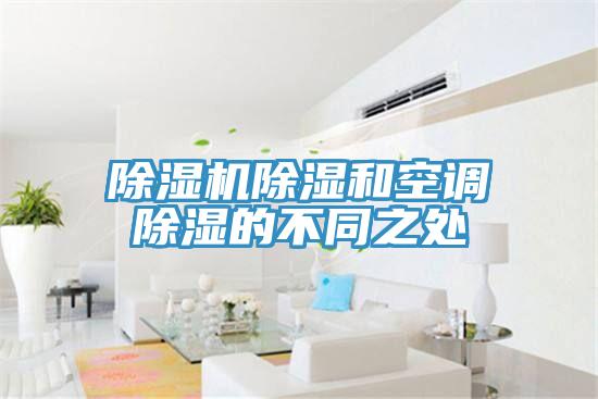 MR.好色破解版除湿和空调除湿的不同之处