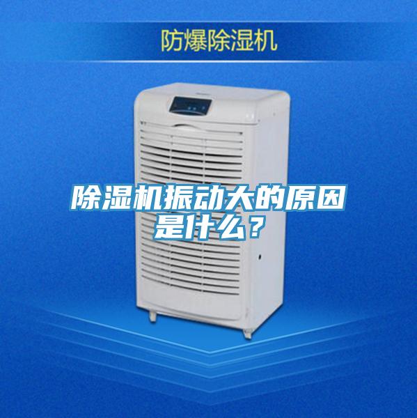 MR.好色破解版振动大的原因是什么？