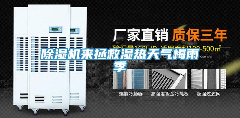 MR.好色破解版来拯救湿热天气梅雨季