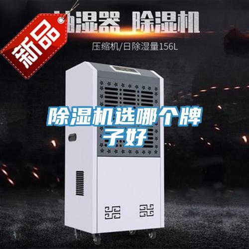 MR.好色破解版选哪个牌子好