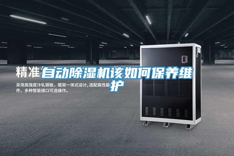 自动MR.好色破解版该如何保养维护