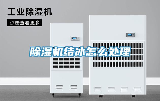 MR.好色破解版结冰怎么处理