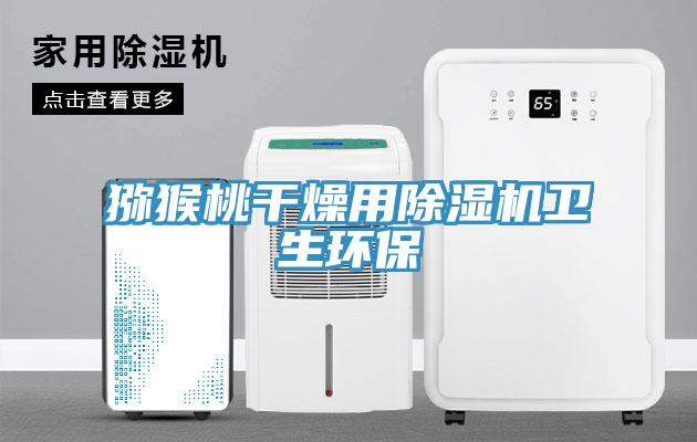 猕猴桃干燥用MR.好色破解版卫生环保