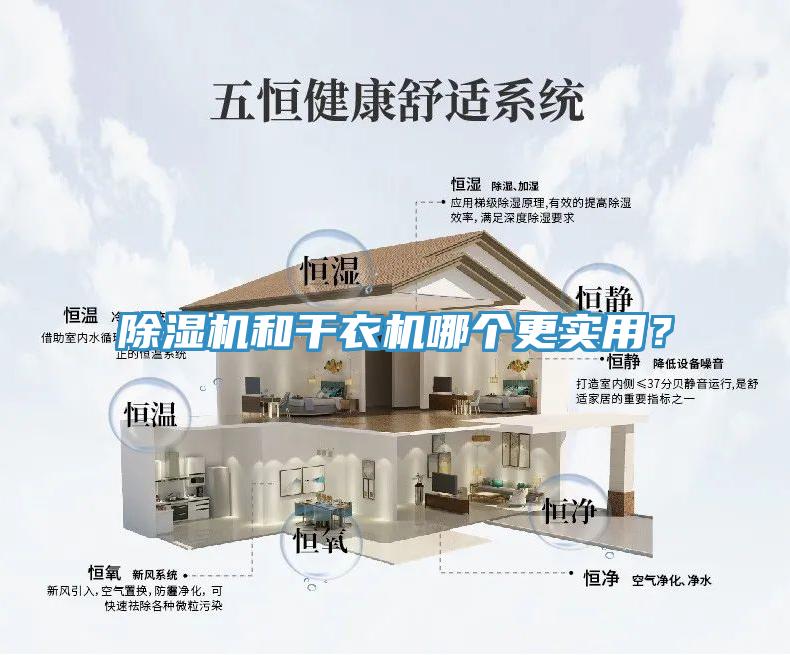 MR.好色破解版和干衣机哪个更实用？