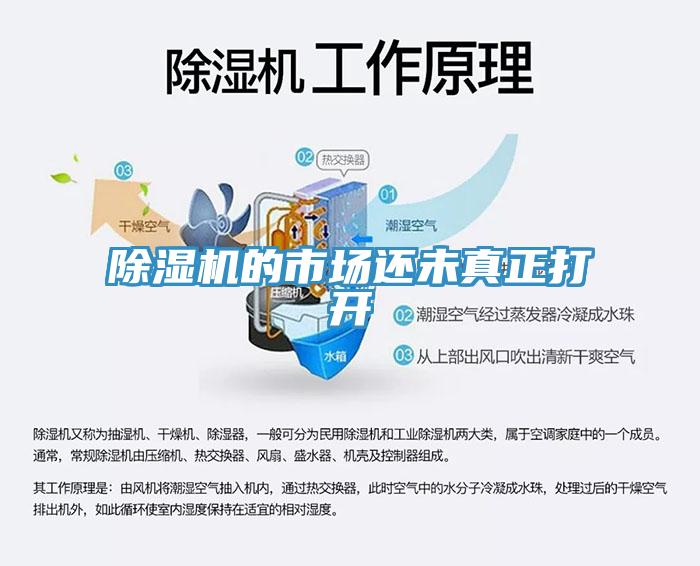 MR.好色破解版的市场还未真正打开