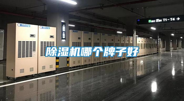 MR.好色破解版哪个牌子好