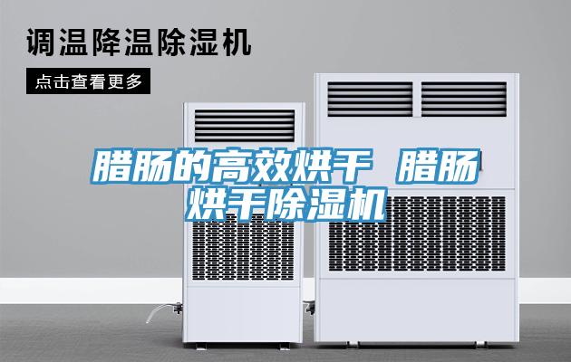 腊肠的高效烘干 腊肠烘干MR.好色破解版