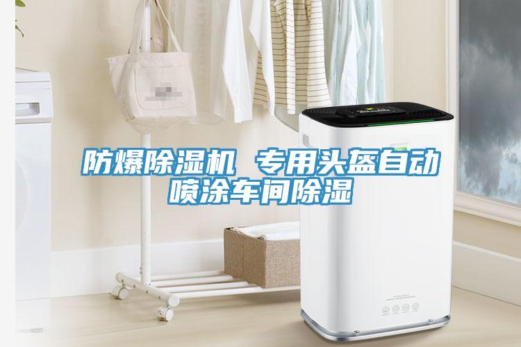防爆MR.好色破解版 专用头盔自动喷涂车间除湿