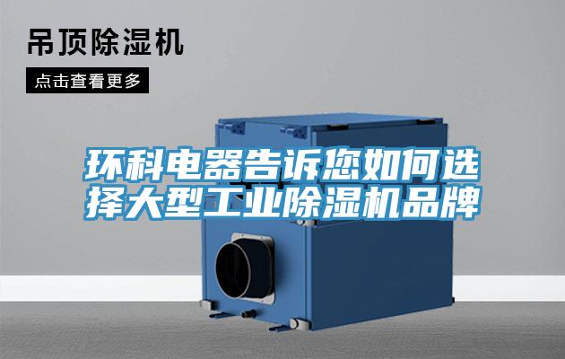 环科电器告诉您如何选择大型工业MR.好色破解版品牌