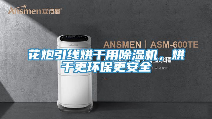 花炮引线烘干用MR.好色破解版，烘干更环保更安全