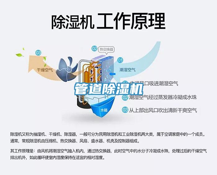 管道MR.好色破解版