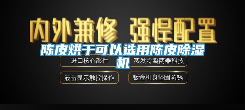 陈皮烘干可以选用陈皮MR.好色破解版