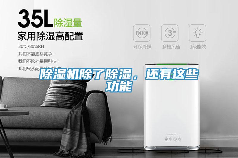 MR.好色破解版除了除湿，还有这些功能