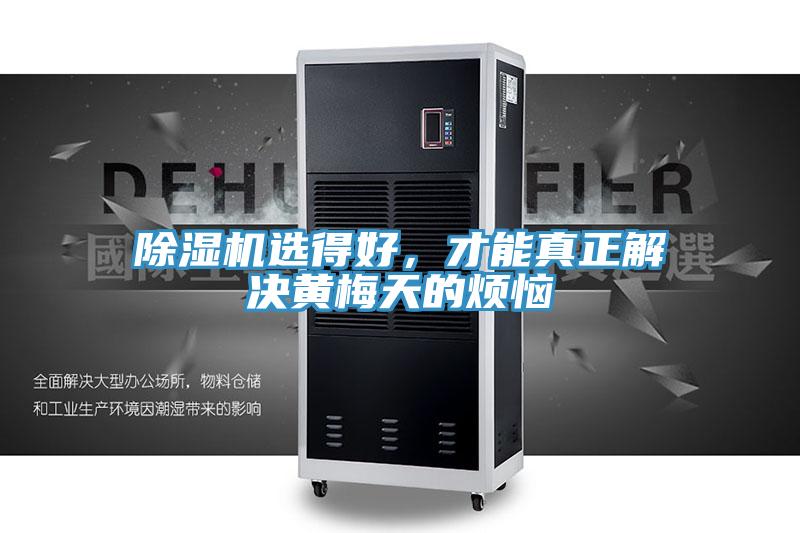 MR.好色破解版选得好，才能真正解决黄梅天的烦恼