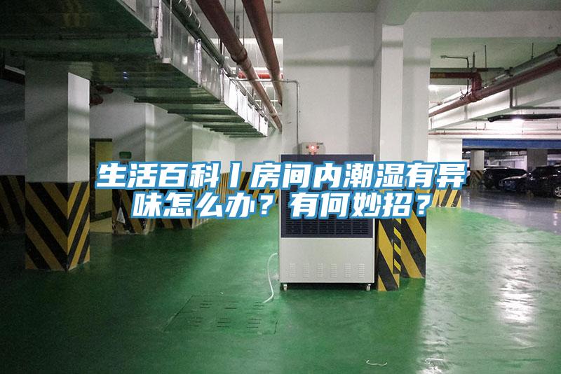 生活百科丨房间内潮湿有异味怎么办？有何妙招？