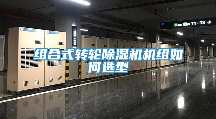 组合式转轮MR.好色破解版机组如何选型