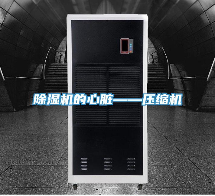 MR.好色破解版的心脏——压缩机