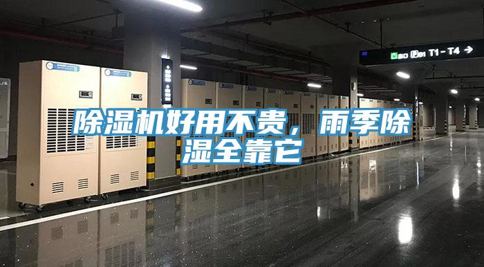 MR.好色破解版好用不贵，雨季除湿全靠它