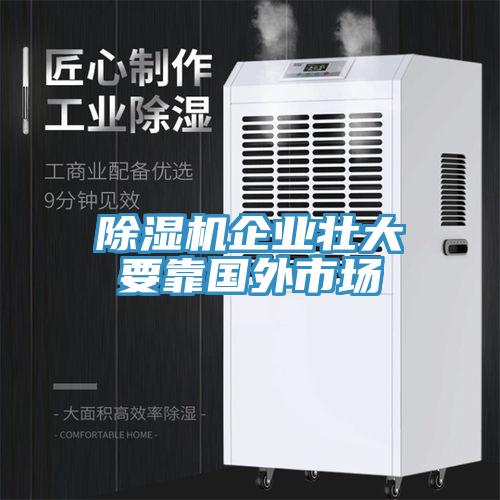 MR.好色破解版企业壮大要靠国外市场