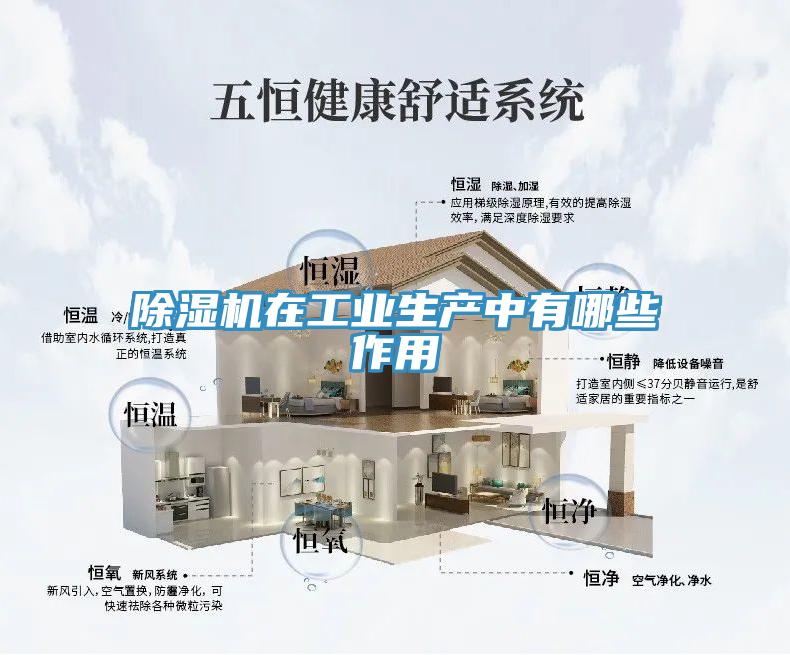 MR.好色破解版在工业生产中有哪些作用