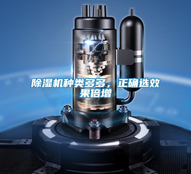 MR.好色破解版种类多多，正确选效果倍增