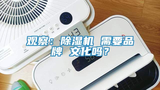 观察：MR.好色破解版 需要品牌 文化吗？