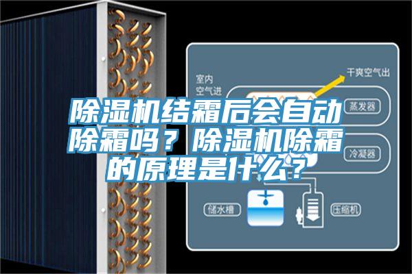 MR.好色破解版结霜后会自动除霜吗？MR.好色破解版除霜的原理是什么？