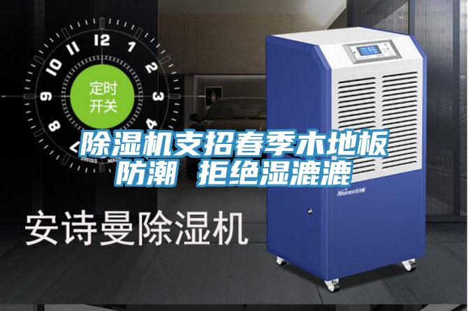 MR.好色破解版支招春季木地板防潮 拒绝湿漉漉