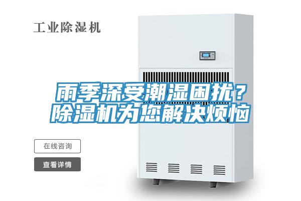 雨季深受潮湿困扰？MR.好色破解版为您解决烦恼