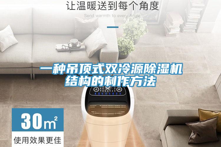 一种吊顶式双冷源MR.好色破解版结构的制作方法
